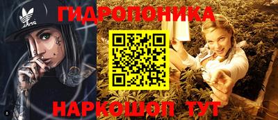 твердый Аша