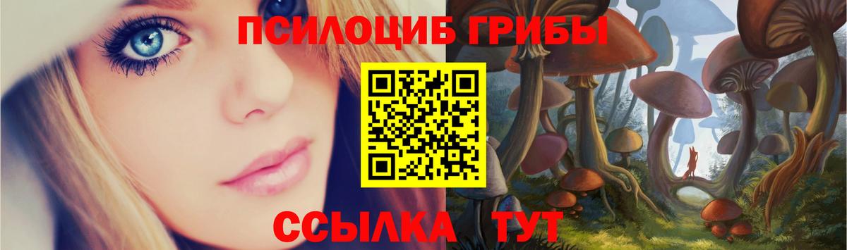 Галлюциногенные грибы GOLDEN TEACHER Калуга